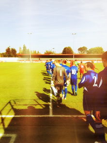 米兰 MILAN ESPORTS-2024年国际乒联混合团体世界杯:印度队表现大放异彩,2024年乒乓球世锦赛