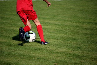 米兰全站APP下载-中国足球球员失误原因结构拆解模型,中国足球队谁受伤了